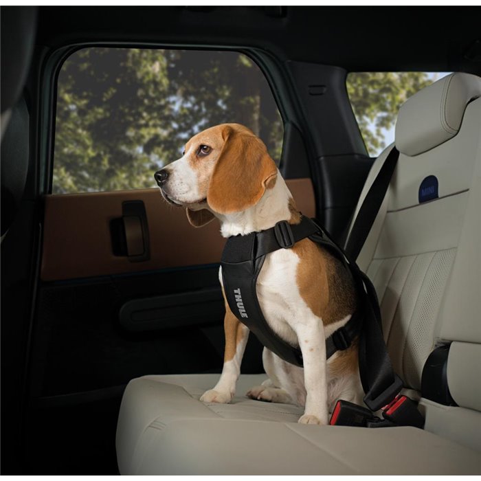 THULE CAPPY IMBRAGATURA PER CANI M