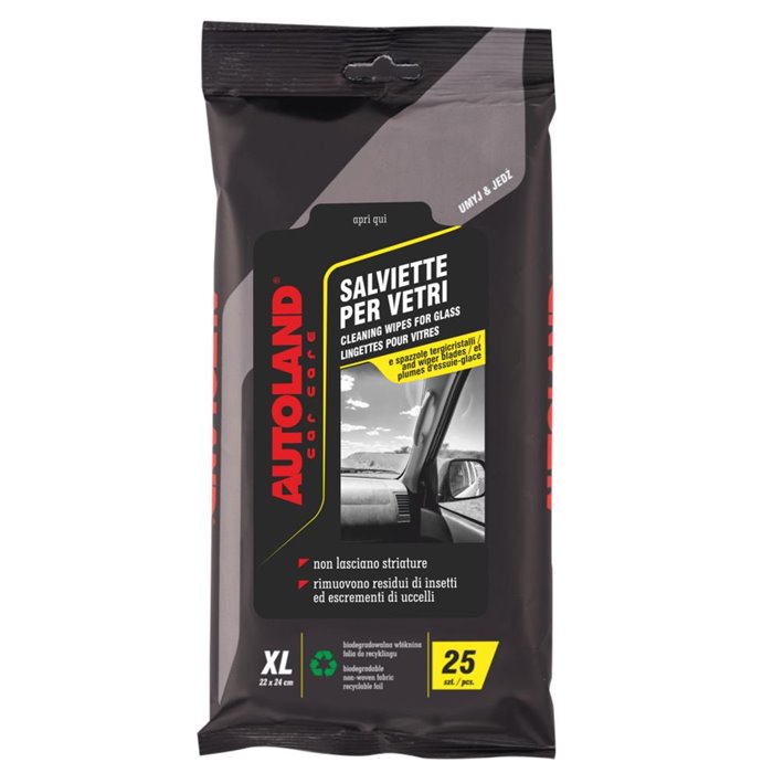 CT 6 X 25 SALVIETTE PER VETRI  22X24 CM