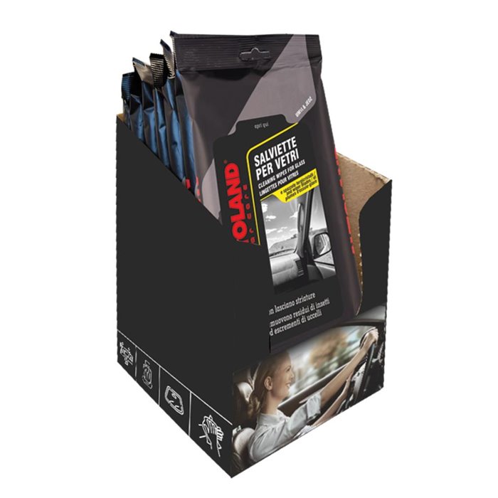 CT 6 X 25 SALVIETTE PER VETRI  22X24 CM